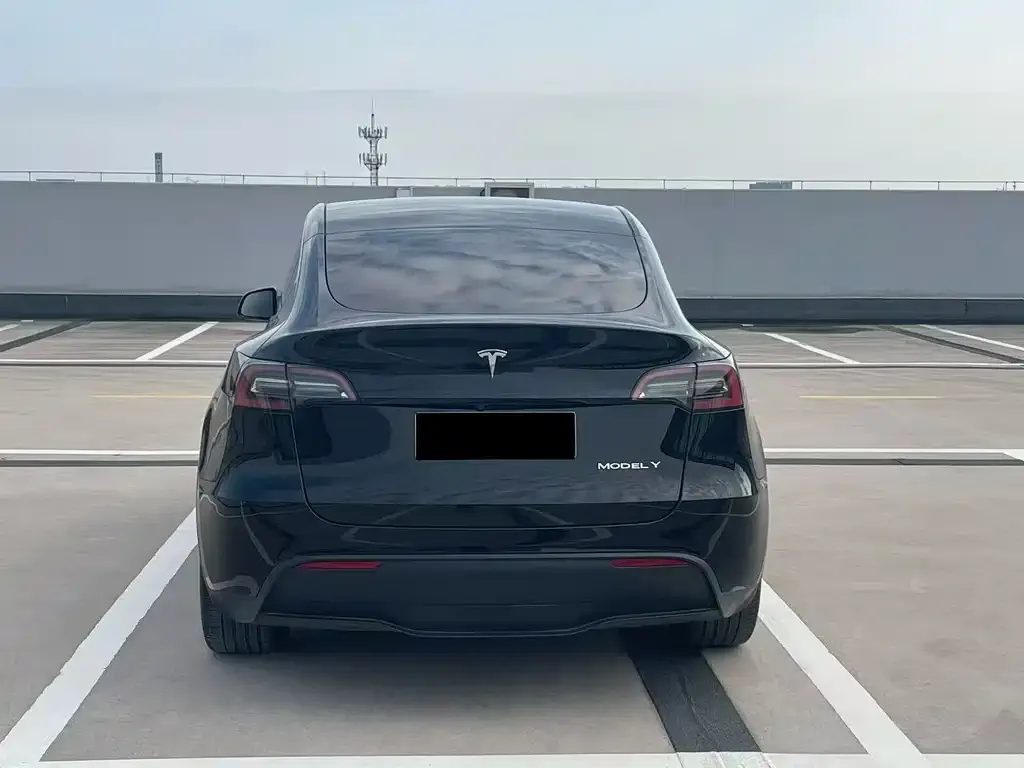 Tesla Model Y — фото 2