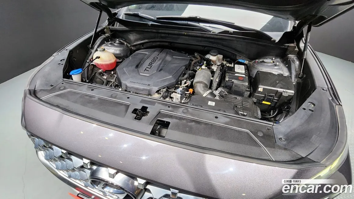 Hyundai Santafe 2021 из KR, фото 9