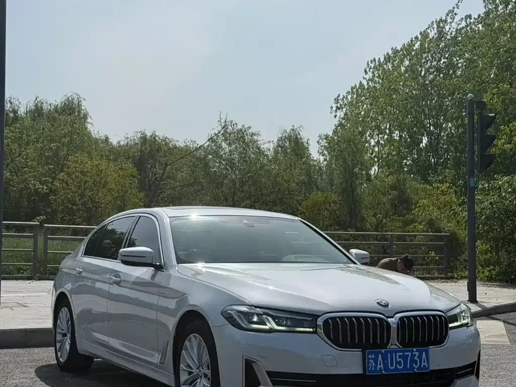 BMW 5 Series 2022 из CN, фото 7