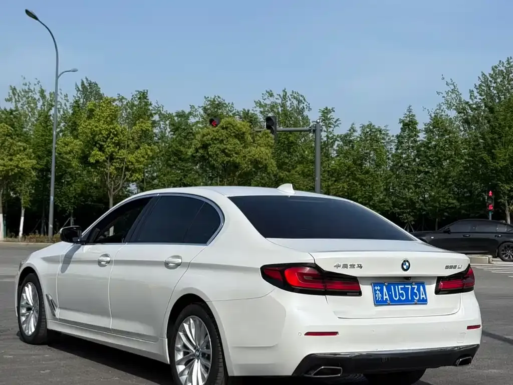BMW 5 Series 2022 из CN, фото 8