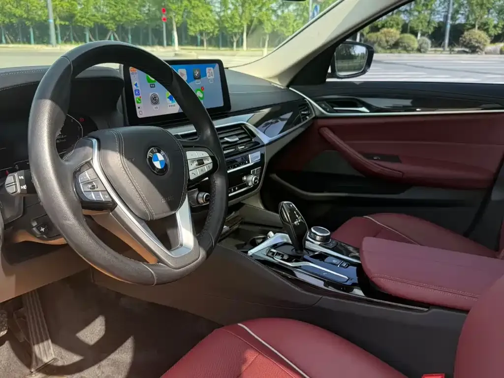 BMW 5 Series 2022 из CN, фото 4
