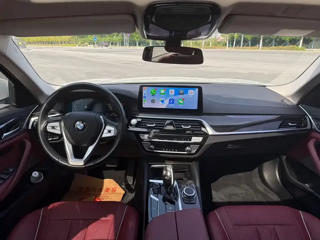 BMW 5 Series 2022 из CN, фото 6