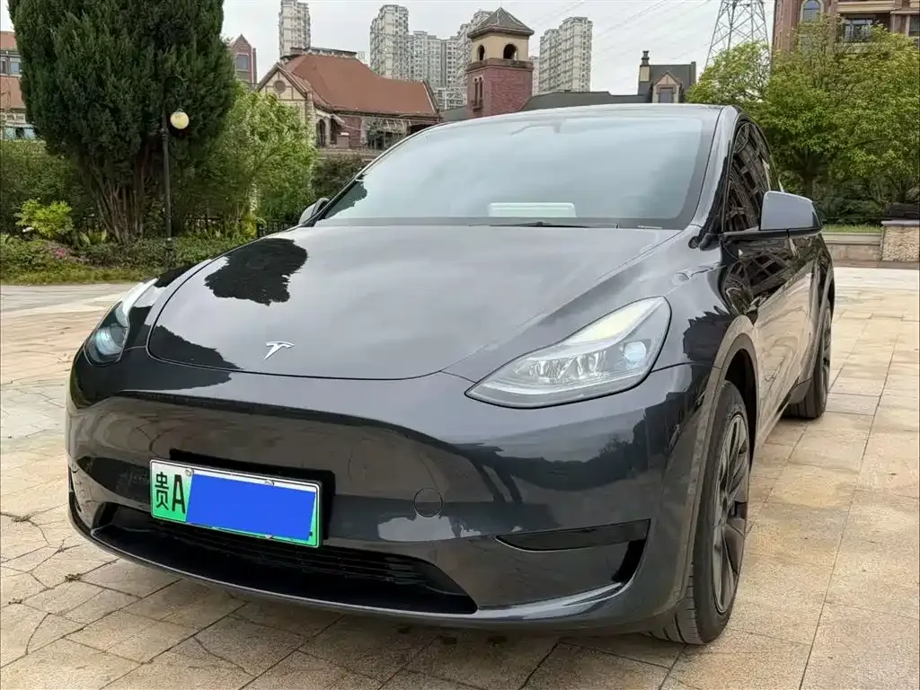 Tesla Model Y — фото 1