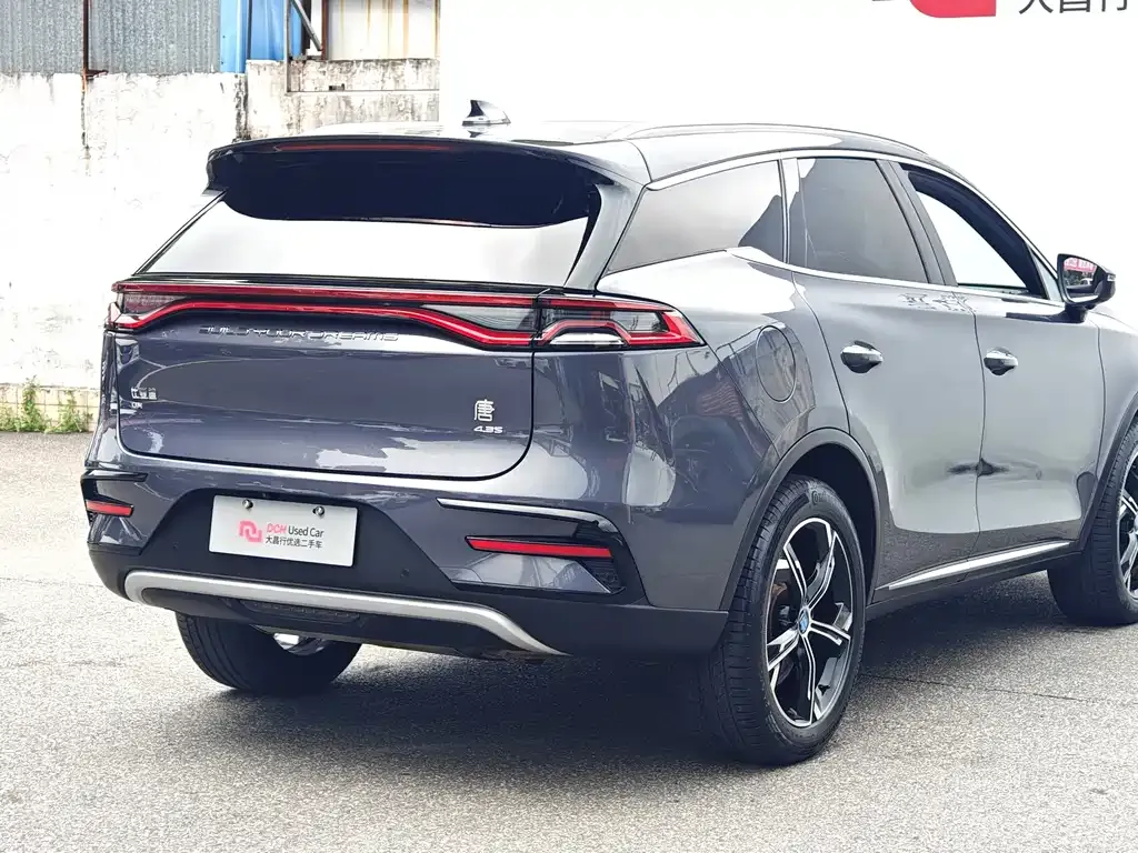 BYD Tang New Energy — фото 10