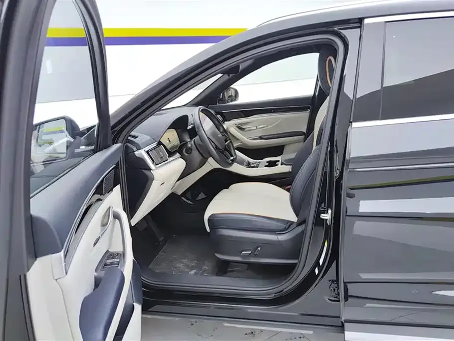 BYD PLUS New Energy — фото 10