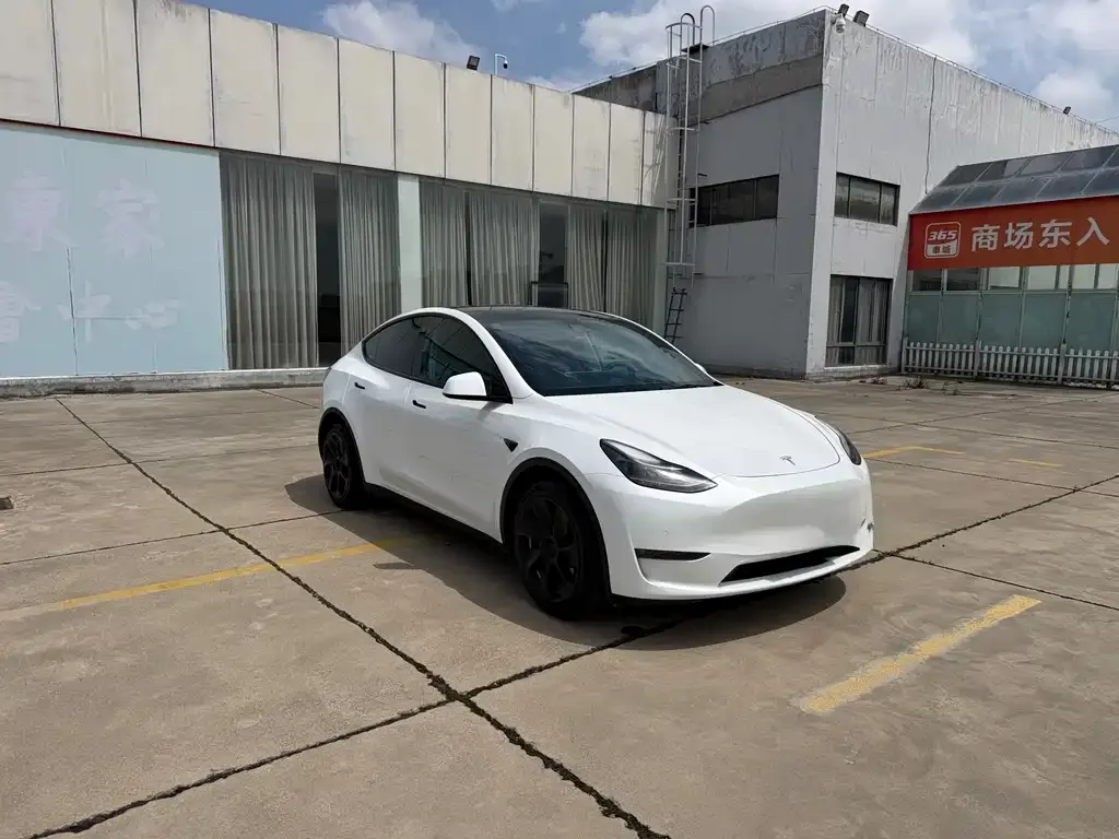 Tesla Model Y — фото 1