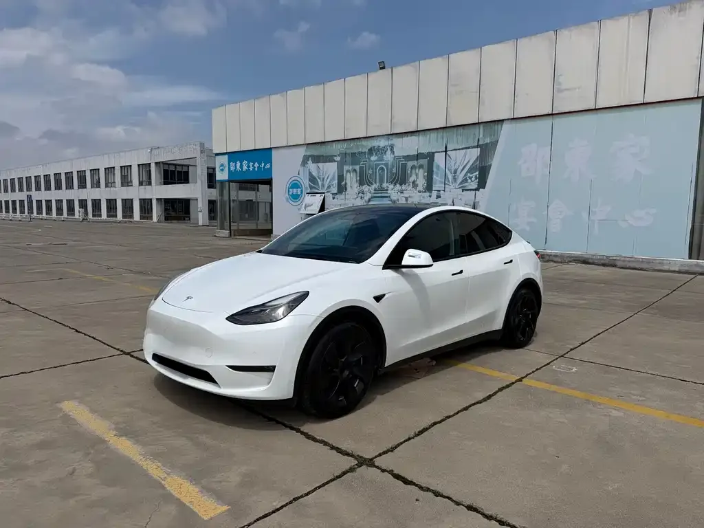 Tesla Model Y — фото 9