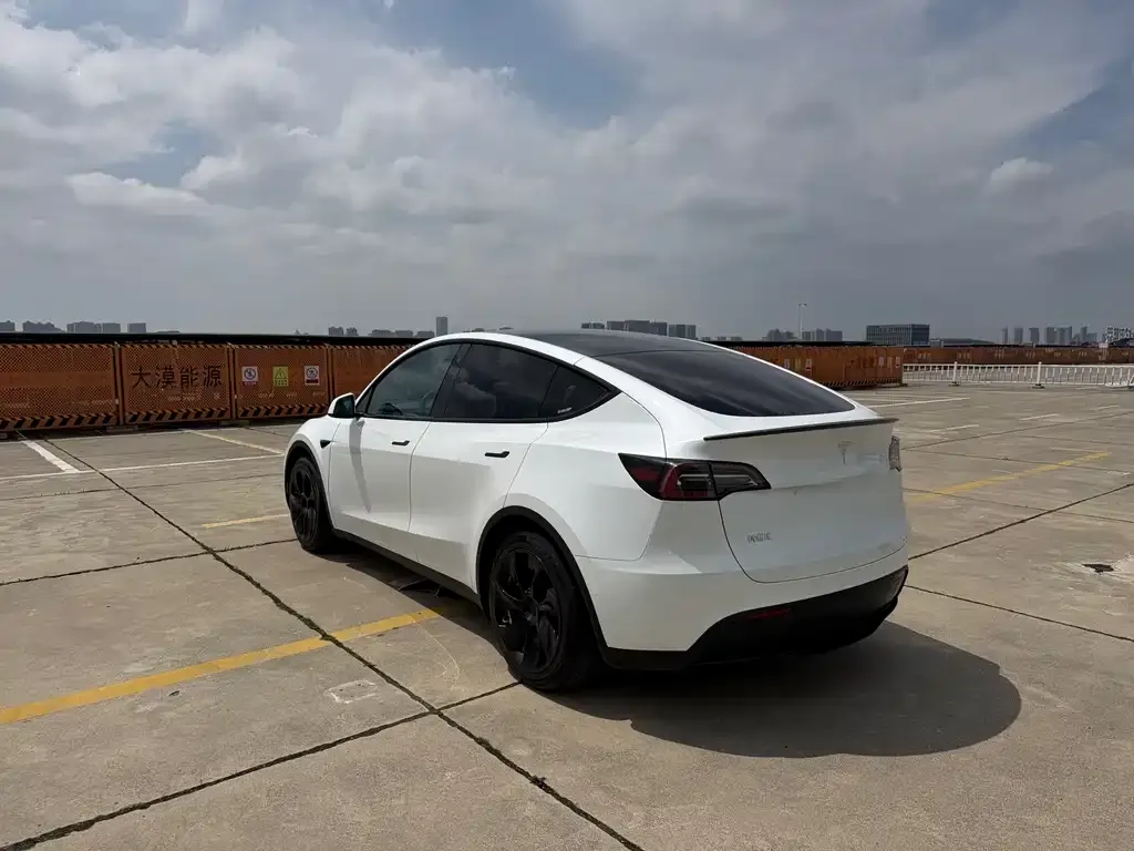 Tesla Model Y — фото 5
