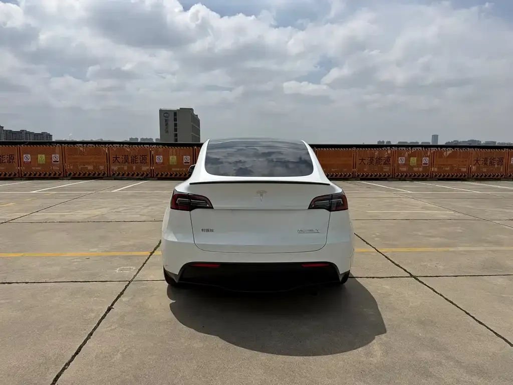 Tesla Model Y — фото 6