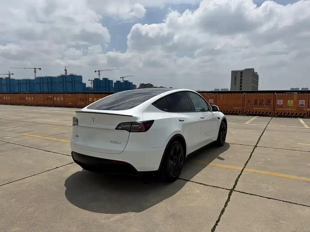 Tesla Model Y — фото 8