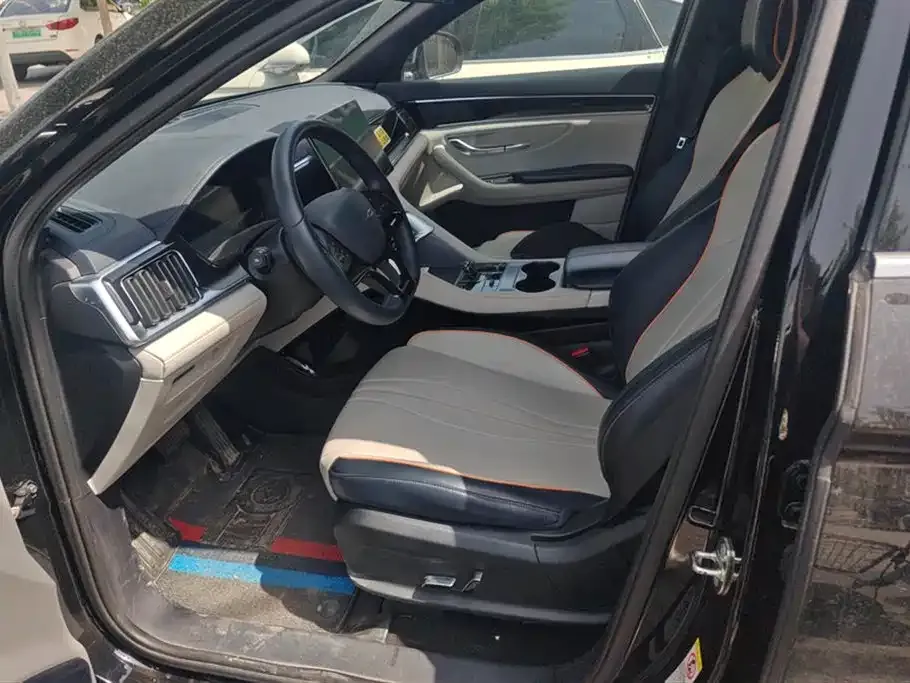 BYD PLUS New Energy — фото 10