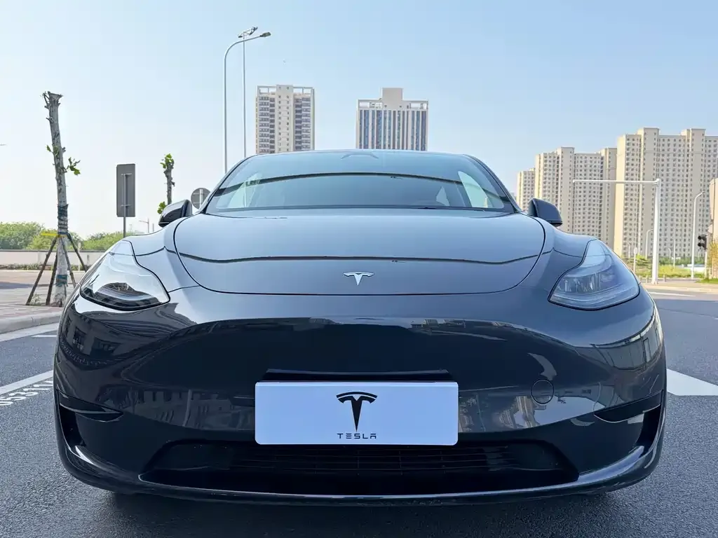 Tesla Model Y — фото 6