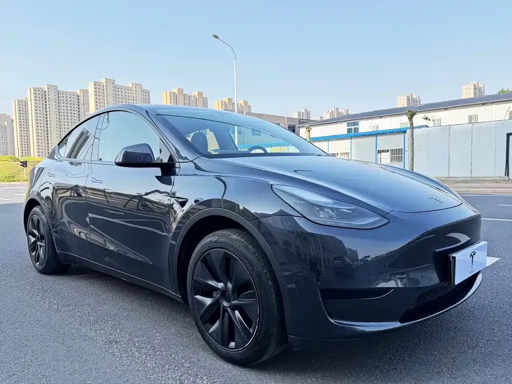 Tesla Model Y — фото 5
