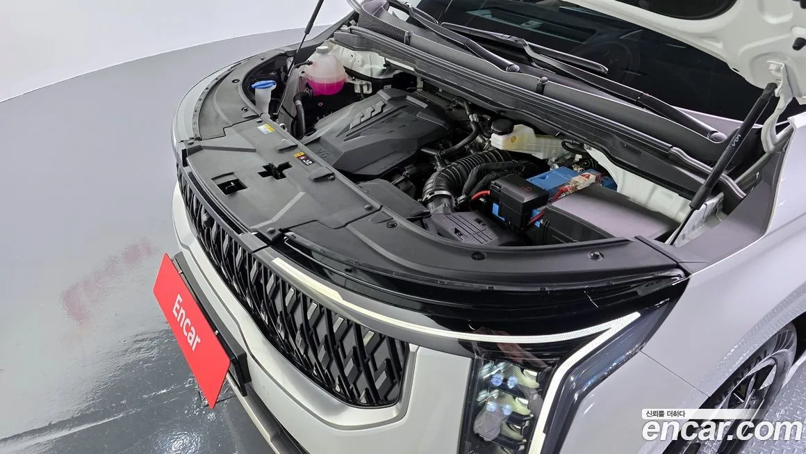Kia Carnival — фото 10