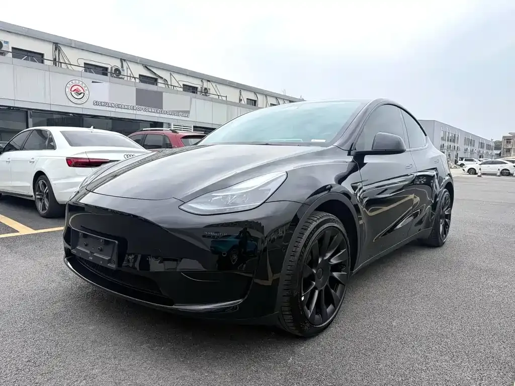 Tesla Model Y 2023 из CN, фото 1