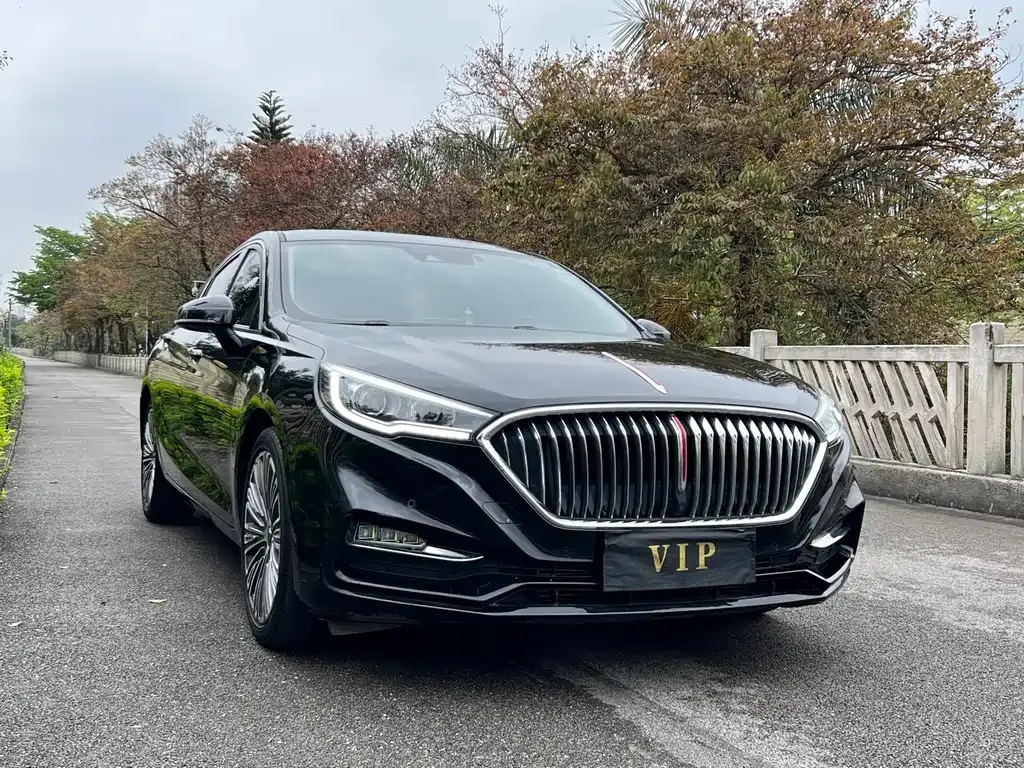Hongqi H5 2021 из CN, фото 10