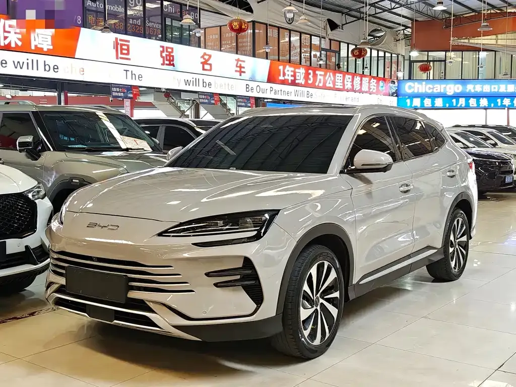 BYD PLUS New Energy — фото 1