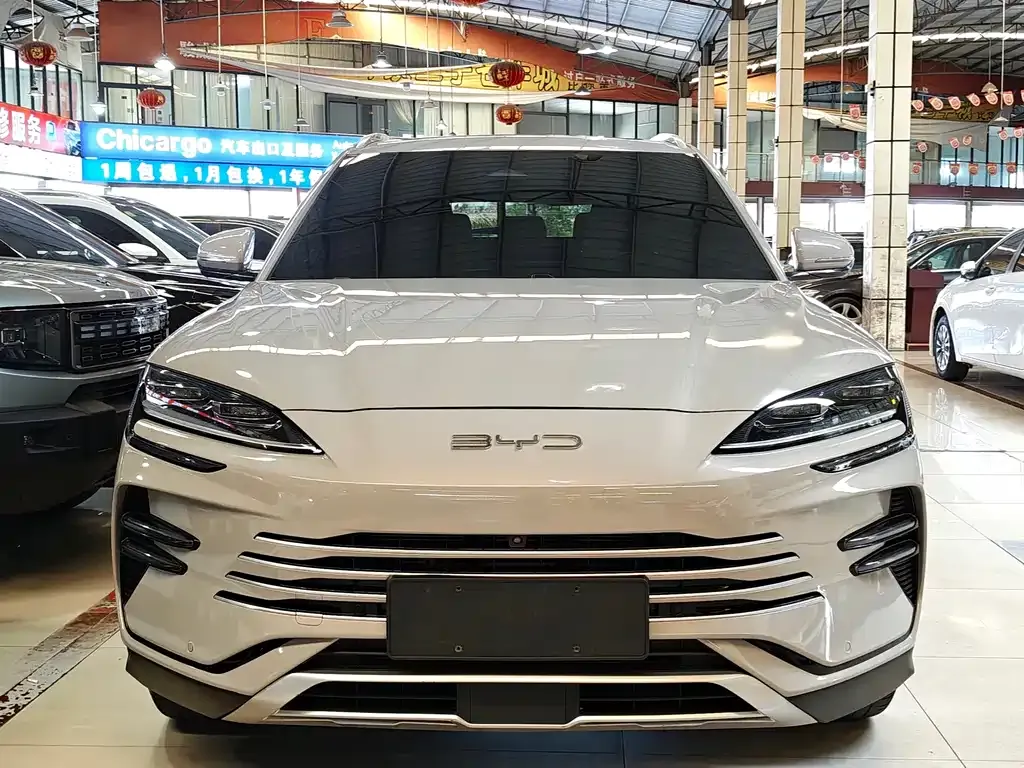 BYD PLUS New Energy — фото 5