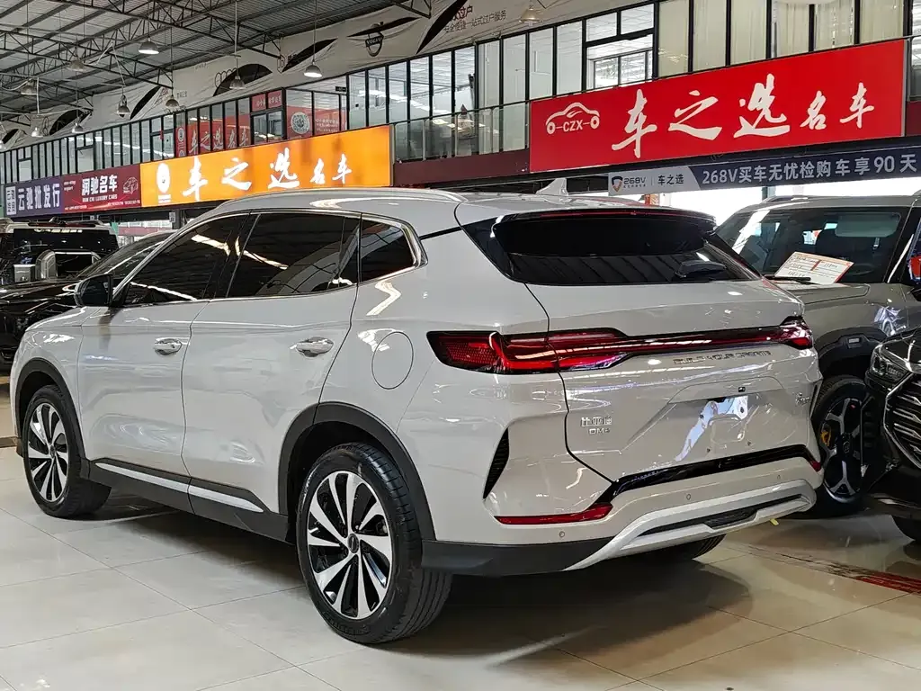 BYD PLUS New Energy — фото 6