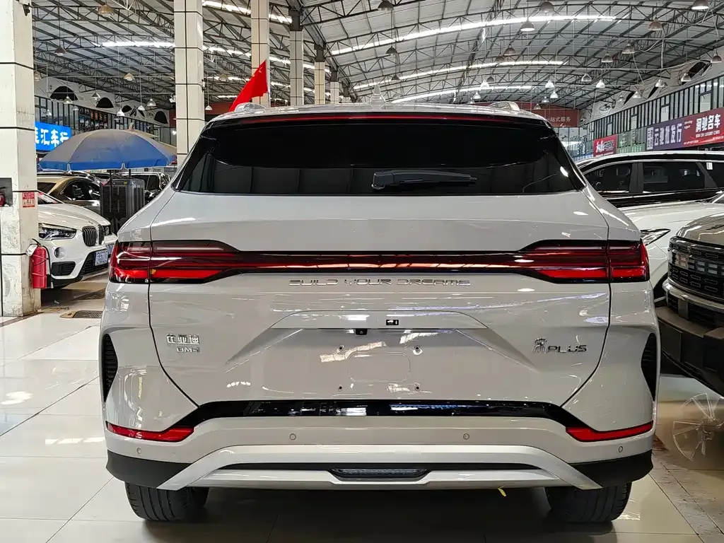 BYD PLUS New Energy — фото 8