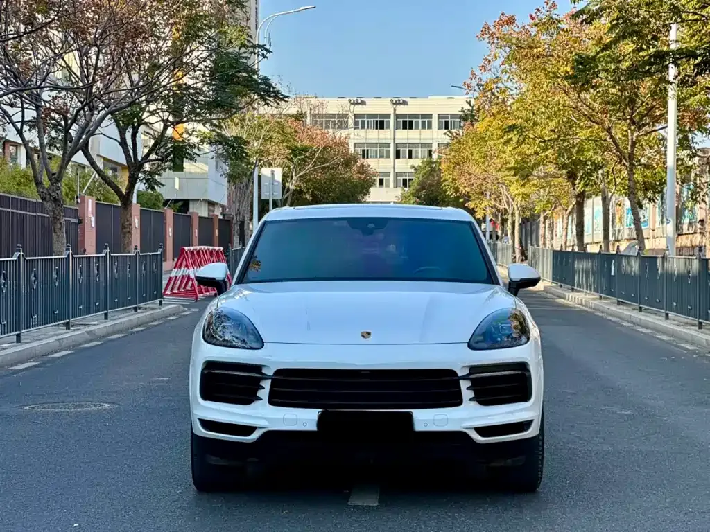 Porsche Cayenne Hybrid — фото 9
