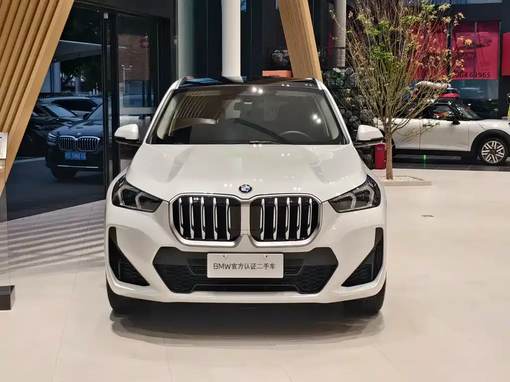 BMW X1 2023 из CN, фото 8