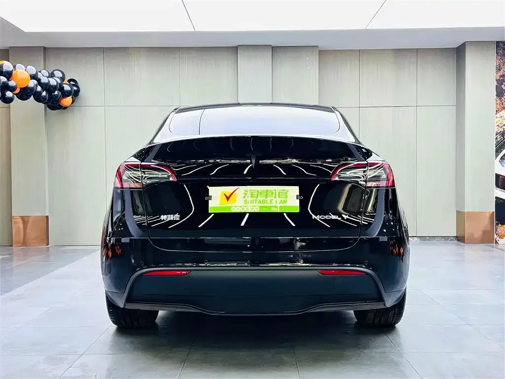 Tesla Model Y — фото 5
