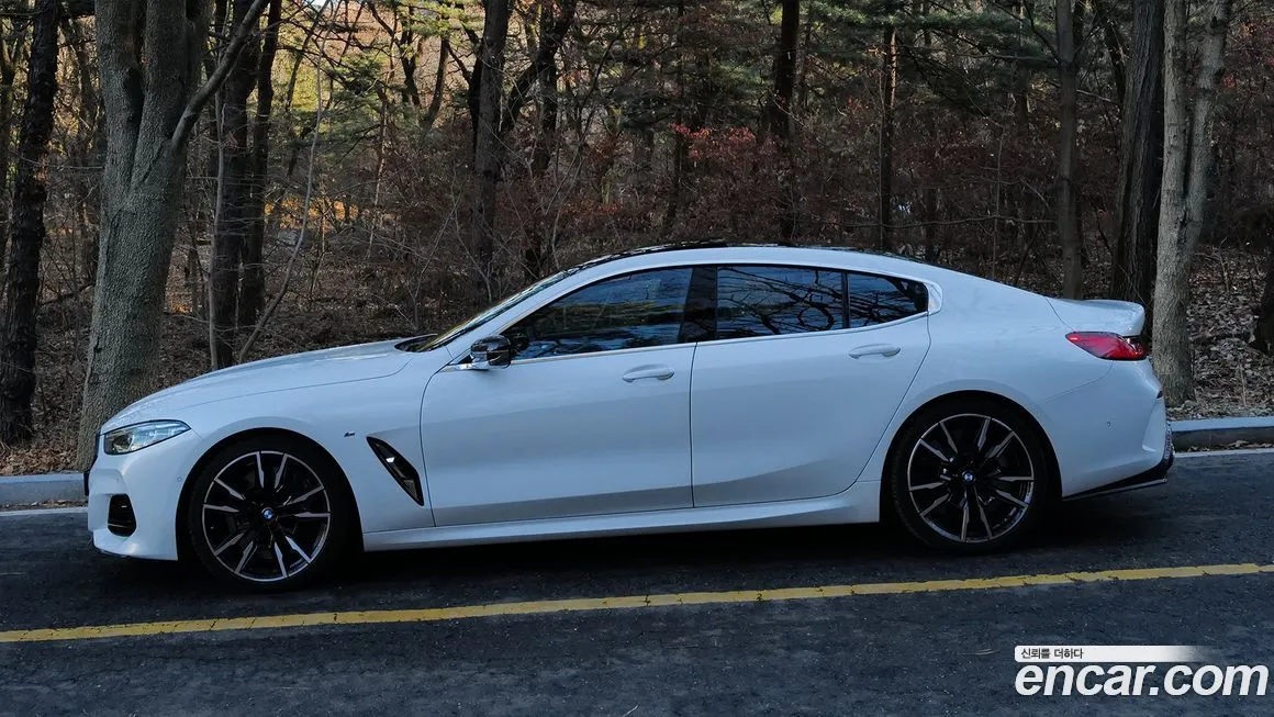 BMW 8-Series — фото 10