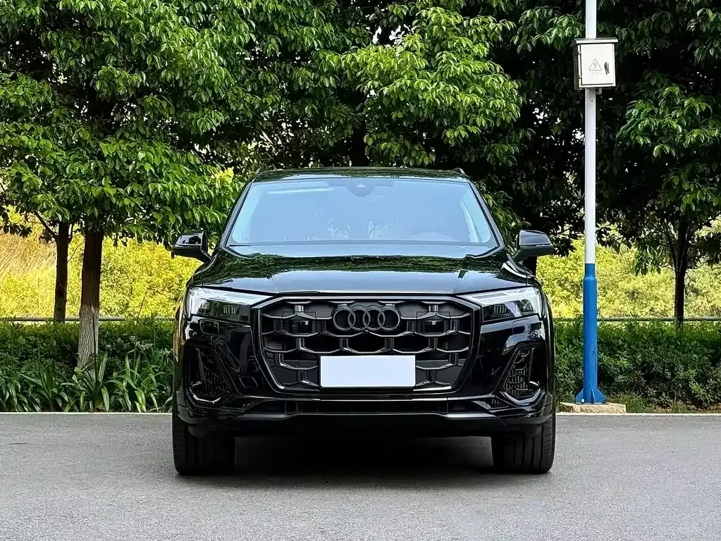 Audi Q7 — фото 10