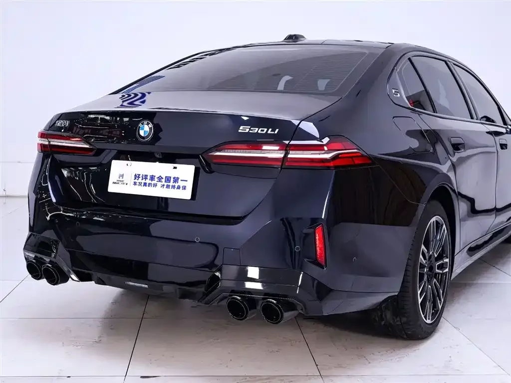 BMW 5 Series 2024 из CN, фото 6