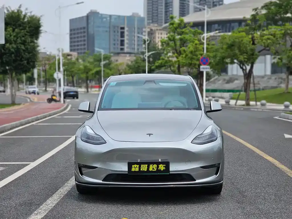 Tesla Model Y — фото 3