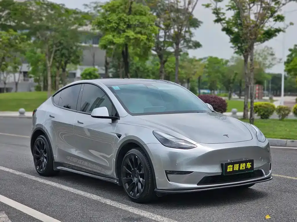 Tesla Model Y — фото 6