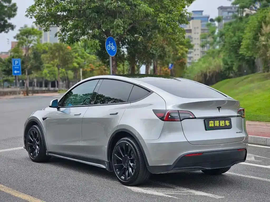 Tesla Model Y — фото 8