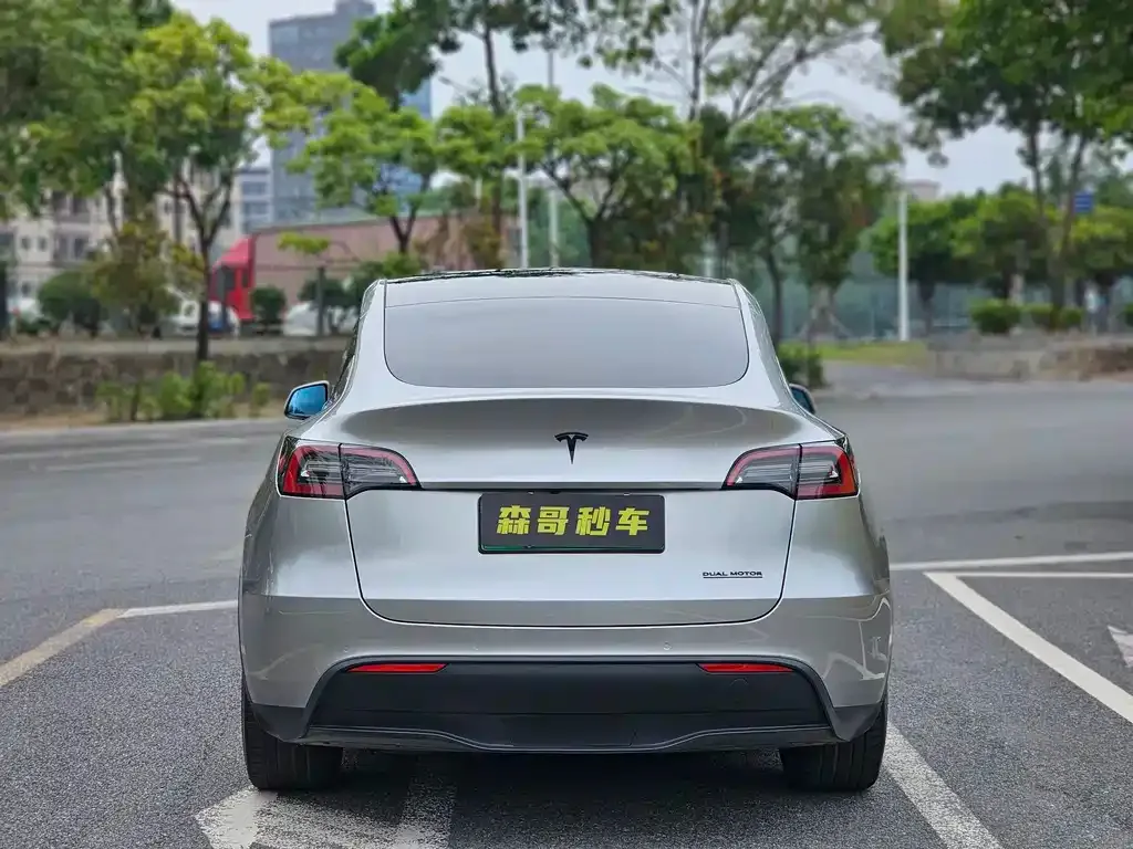 Tesla Model Y — фото 4
