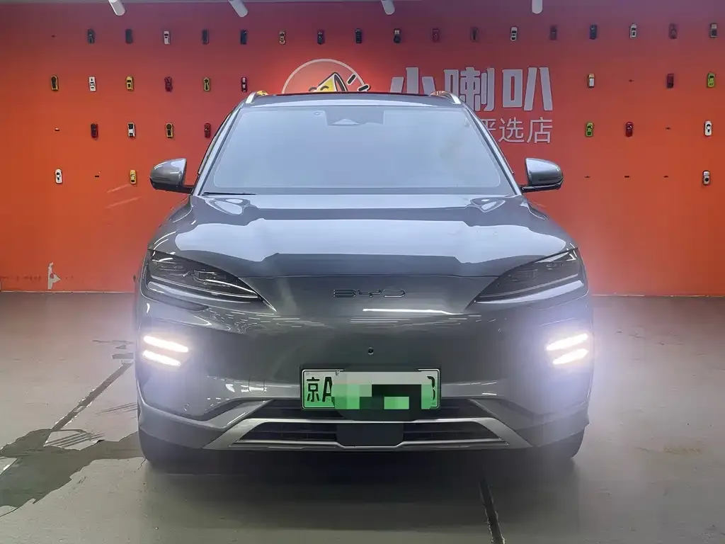 BYD PLUS New Energy 2024 из CN, фото 2