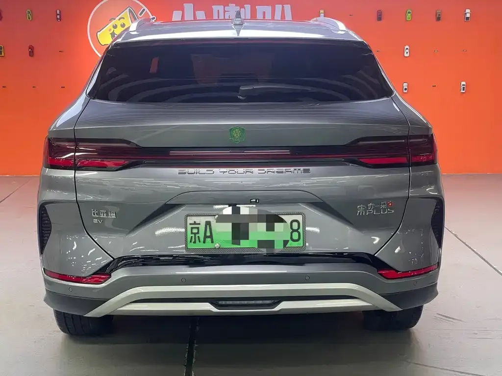 BYD PLUS New Energy 2024 из CN, фото 3