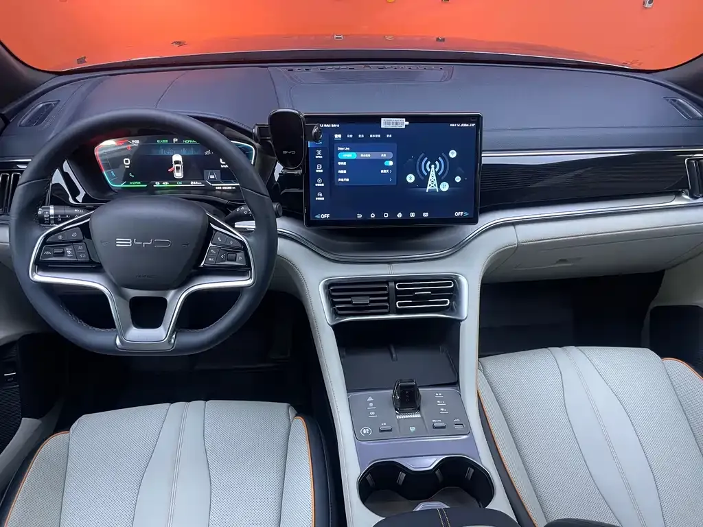BYD PLUS New Energy 2024 из CN, фото 10