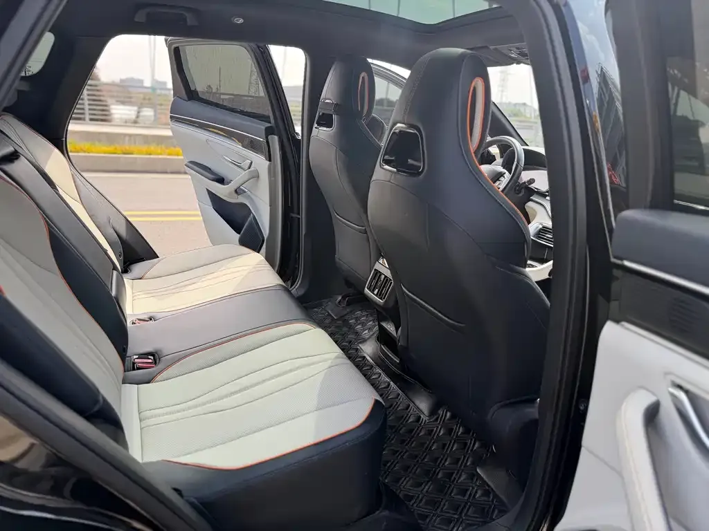 BYD PLUS New Energy 2023 из CN, фото 10