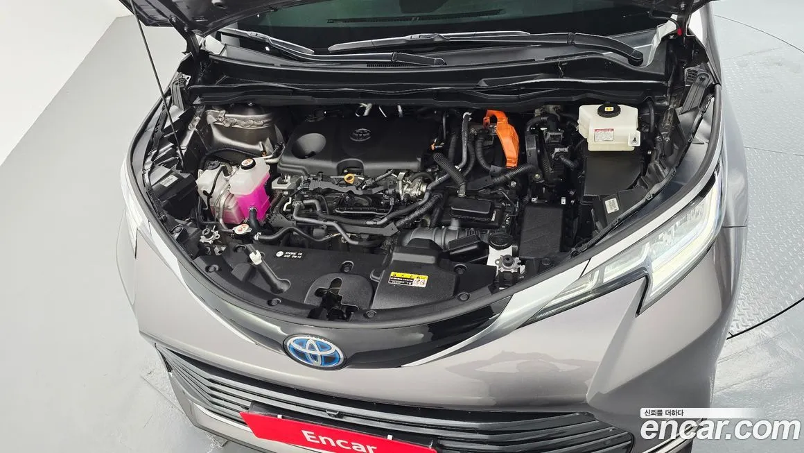 Toyota Sienna — фото 8
