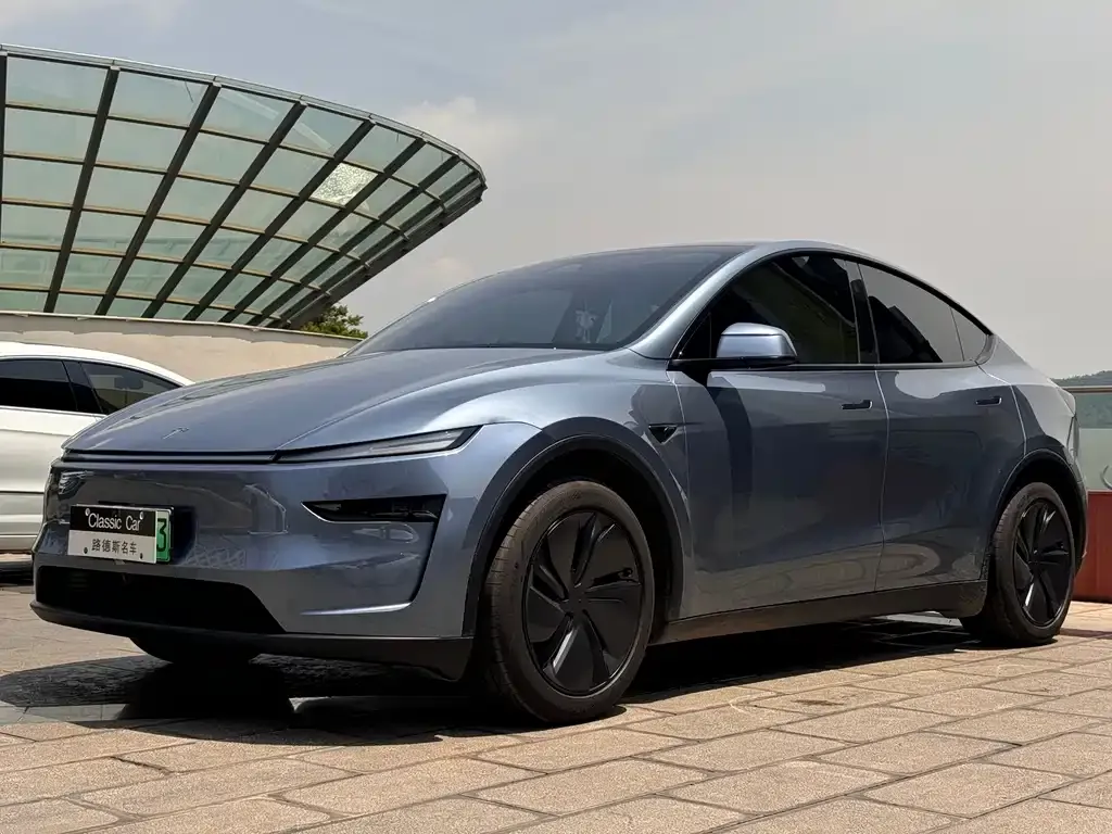 Tesla Model Y 2025 из CN, фото 1