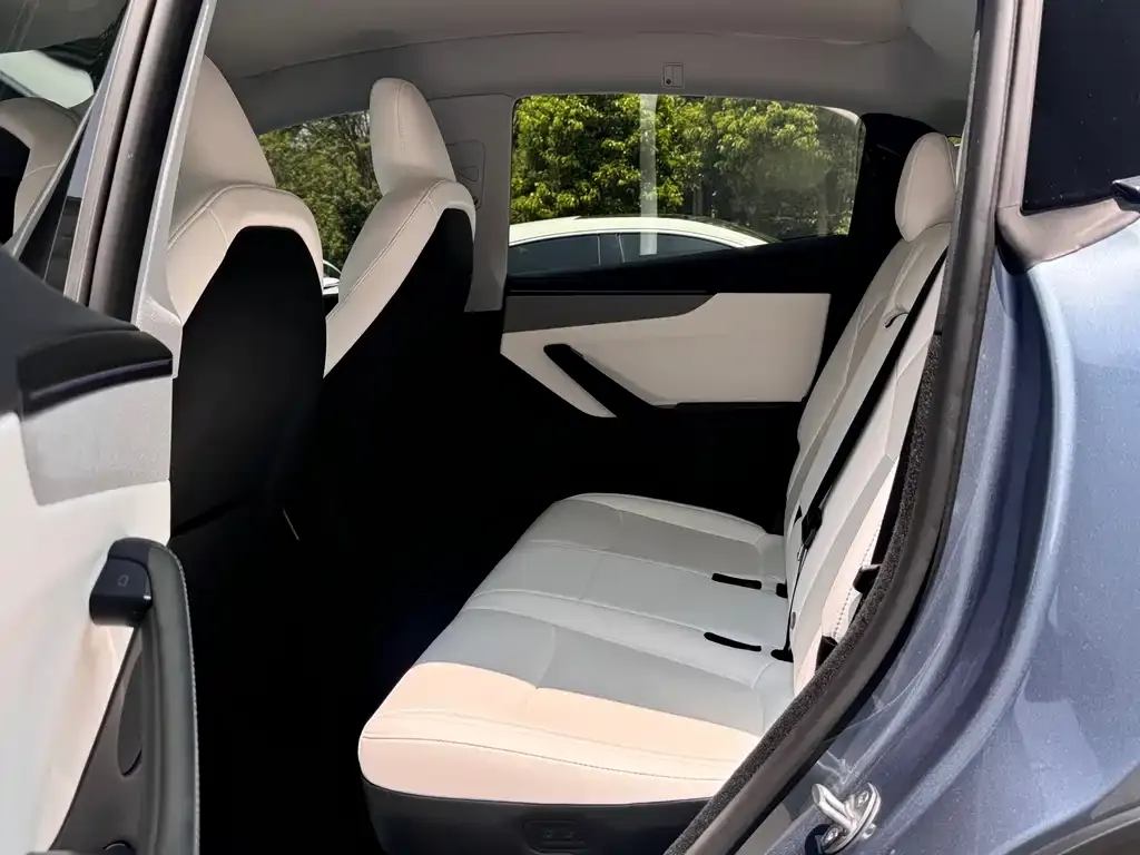 Tesla Model Y 2025 из CN, фото 9