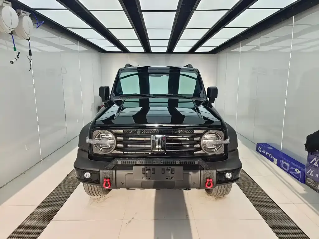 Tank 300 New Energy 2025 из CN, фото 9