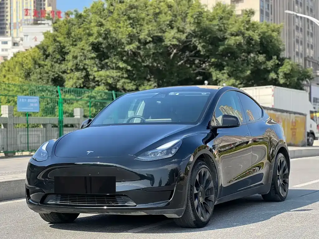 Tesla Model Y — фото 1