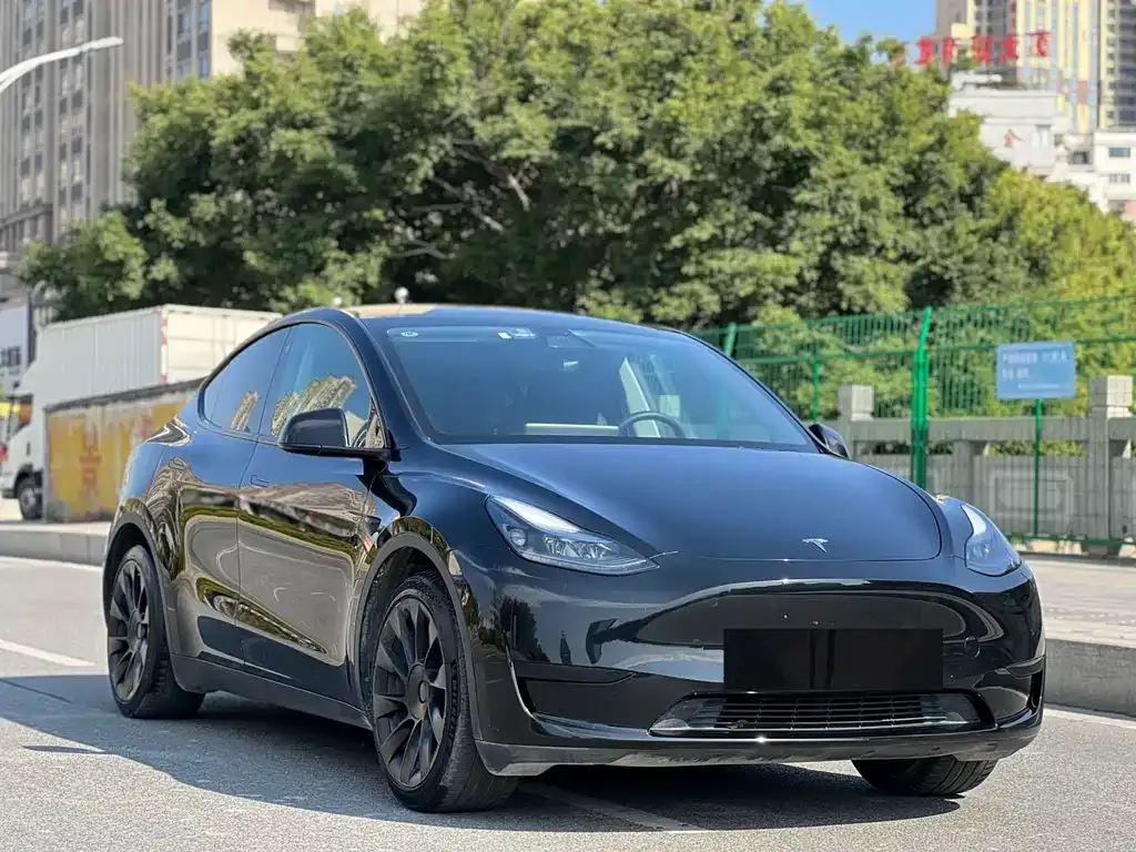 Tesla Model Y — фото 8