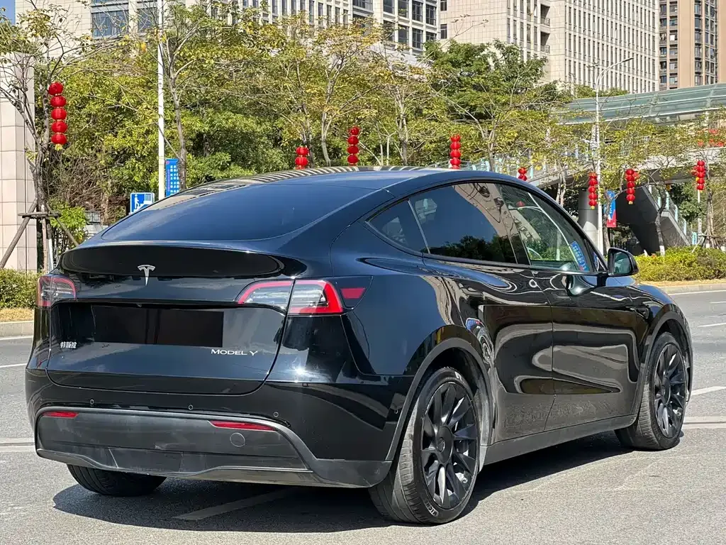Tesla Model Y — фото 9