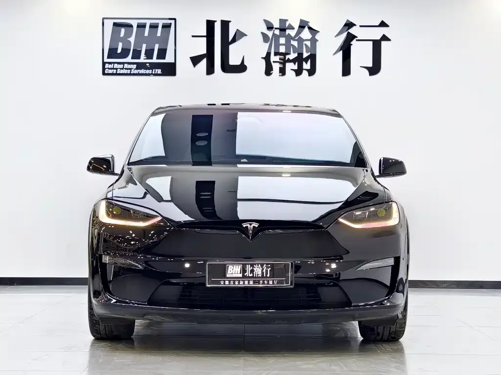 Tesla Model X 2023 из CN, фото 3