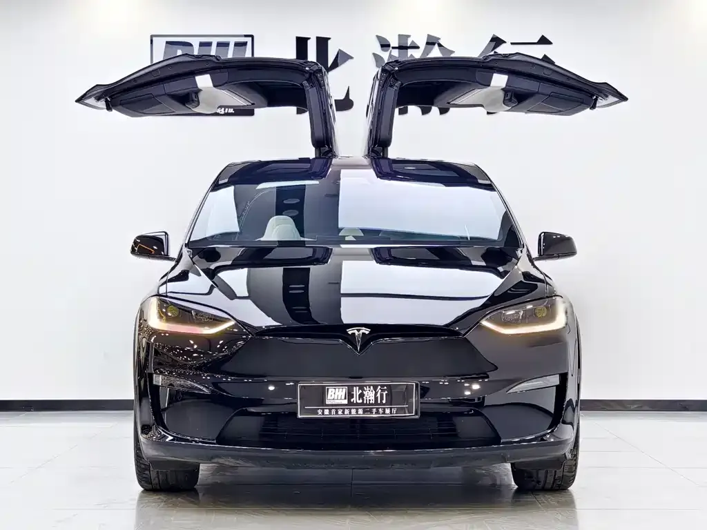 Tesla Model X 2023 из CN, фото 2