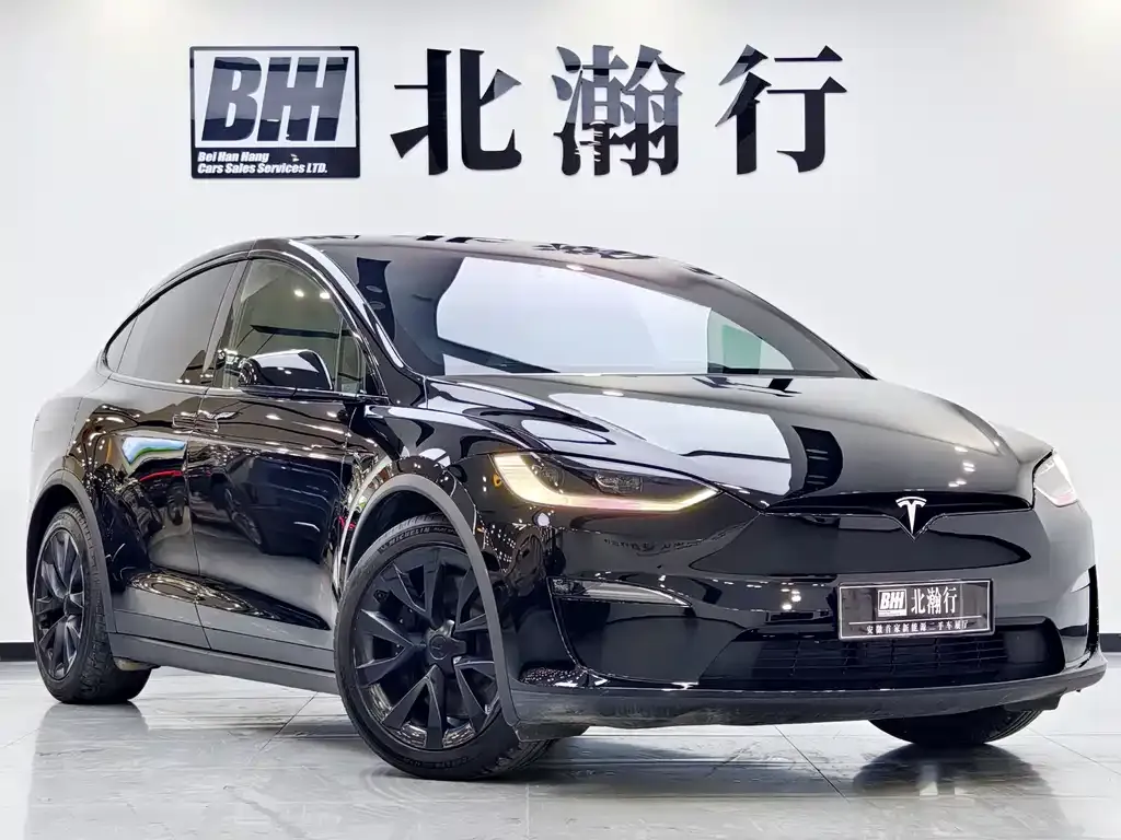 Tesla Model X 2023 из CN, фото 7