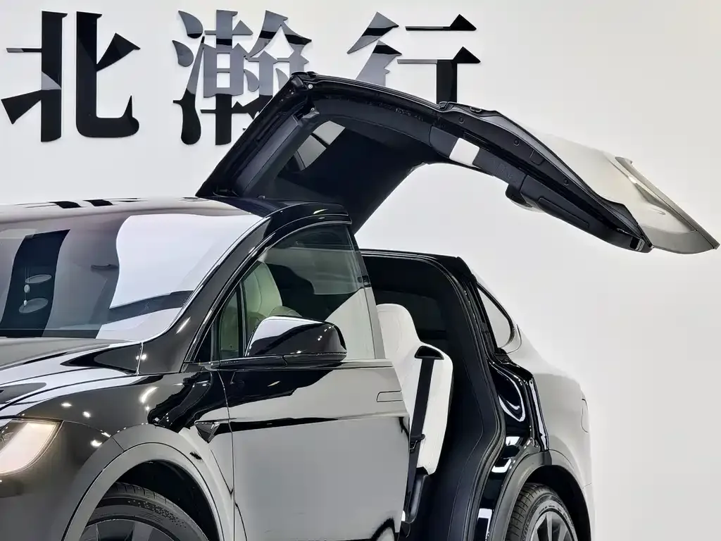Tesla Model X 2023 из CN, фото 5
