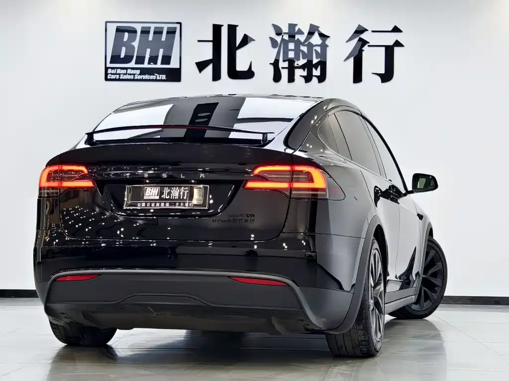 Tesla Model X 2023 из CN, фото 10